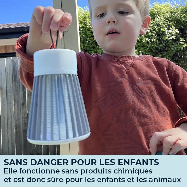 Lampe Anti Moustique